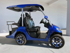 Evolution D3 Street Leval LSV Golf Cart 02